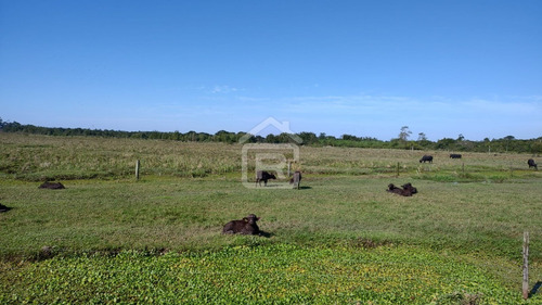 Imagem 20 de 30 de Fazenda Localizada Em Iguape- Sp Com 280 Alqueires - 262 - 71153412