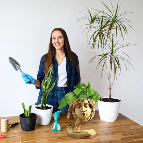 Maceta Para Flores Con Forma De Corazón, Suculentas, Maceta
