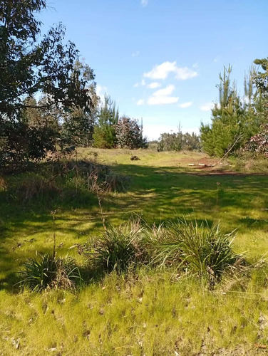 Parcela Plana 5.000 M² En Cholchol (172581)