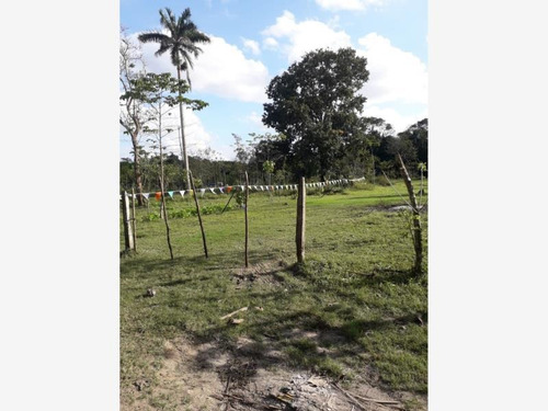 Imagen 6 de 6 de Terreno En Venta Norte 1ra. Sección (buena Vista)