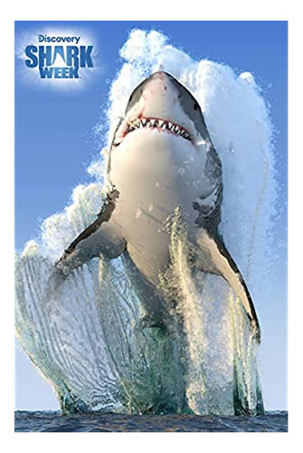 Prime3d Rompecabezas Para Niños Discovery Channel Shark Wee