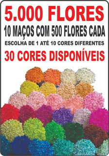 5000 Flores Sempre Viva | MercadoLivre 📦