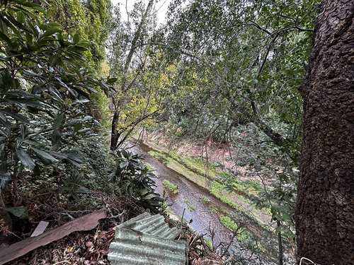 Sitio En Venta En Centro De Quillón