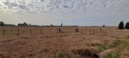 Imagen 9 de 9 de Lote En Venta En San Vicente