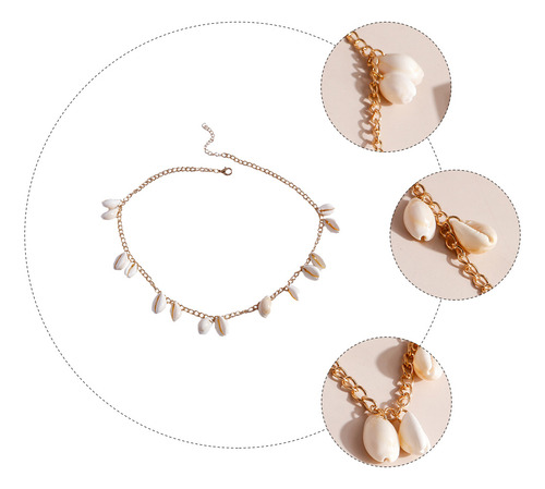 Collar Cowrie Collar Beach Shell The Summer