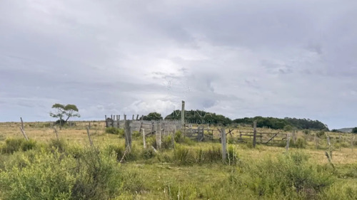 Campo 26 Has Sobre Camino Los Molles