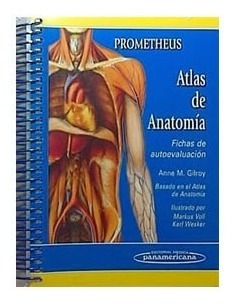 Imagen 1 de 1 de Prometheus Atlas Anatomía Fichas Autoev Original Promo...!!!