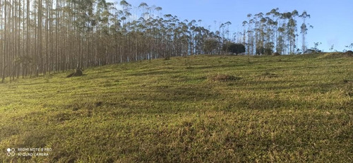 Imagem 9 de 14 de 01- Terrenos Documentados Na Região De Arujá !