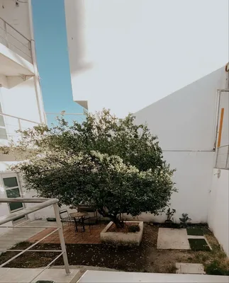 Edificio en venta