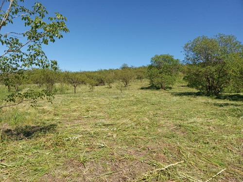 Imagen 5 de 7 de Venta De Terreno Localidad De Unquillo Mendiolaza