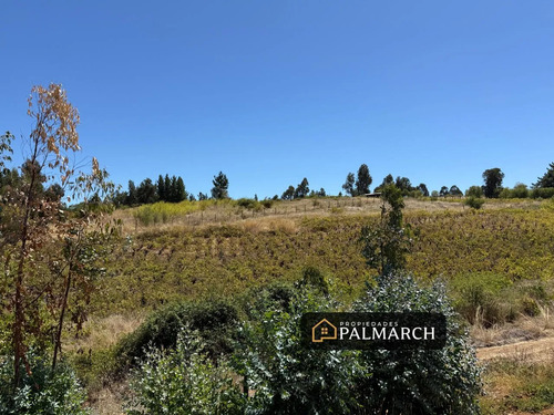 Parcela En Venta En San Nicolás   Chillán