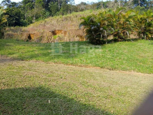 Sítio A Venda Em Massaranduba/sc - 1764c