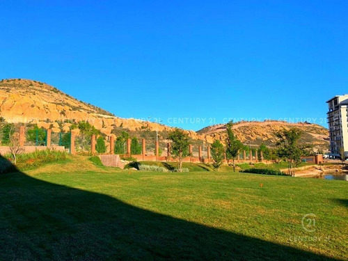 Imagen 1 de 4 de Terreno En Venta En Altozano