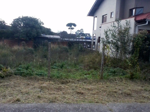 Imagem 1 de 2 de Terreno - Kayser - Ref: 6465 - V-6465