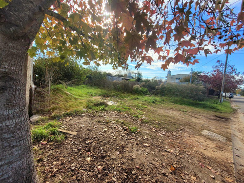 Venta Lote, Belén De Escobar Centro