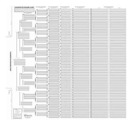 Pedigree Generación 15 Treeseek Gráfico | Los Formularios En