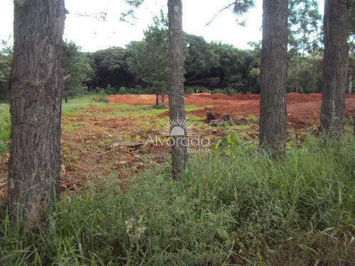 Imagem 7 de 9 de Terreno, Bairro Da Ponte, Itatiba - R$ 750 Mil, Cod: Ai007 - Vai007