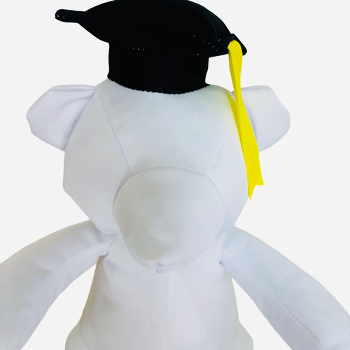 Oso De Graduación Para Firmas Personalizado Blanco