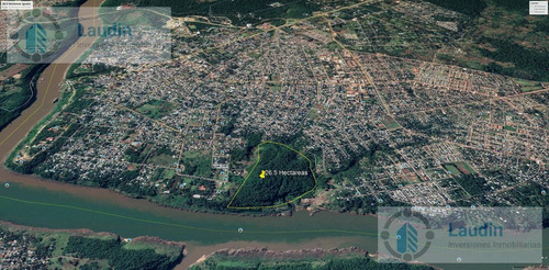 Imagen 3 de 13 de Se Vende 26 Hectáreas Sobre El Rio Paraná- Cataratas Del Iguazú.