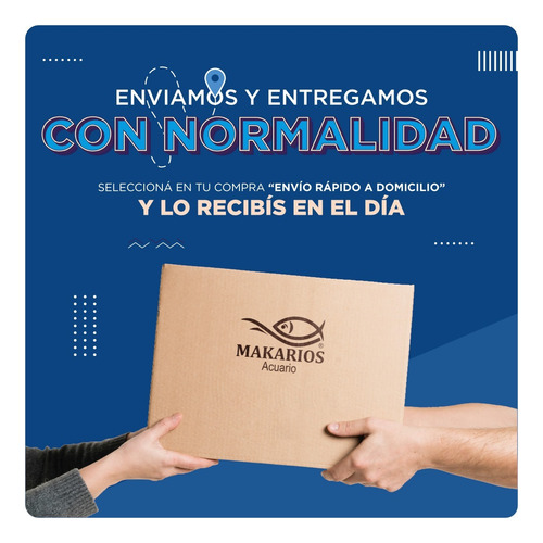 Imagen 6 de 6 de Correa Extensible Flexi New Classic Small Cordon 5m / 12kg