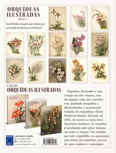 Orquídeas Ilustradas - 3 Livros, De Henry Frederick Sander., Vol. 1 Ao 3. Editorial Editora Europa, Capa Mole, Edição 1 Ao 3 Em Físico, 2023