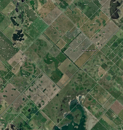 Imagen 1 de 3 de Venta Campo En Nueve De Julio (la Niña) 500 Hs Agrícola
