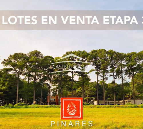 Terreno Lote  En Venta En Pinares Cc, Exaltación De La Cruz, G.b.a. Zona Norte