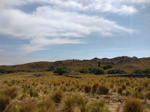 Imagen 25 de 30 de Campo De 380 Ha En Venta Ambul Altas Cumbres Córdoba