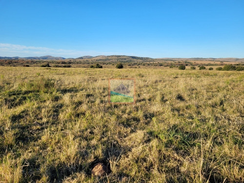 Imagen 2 de 11 de Campo 67 Hás Zona Pueblo Edén