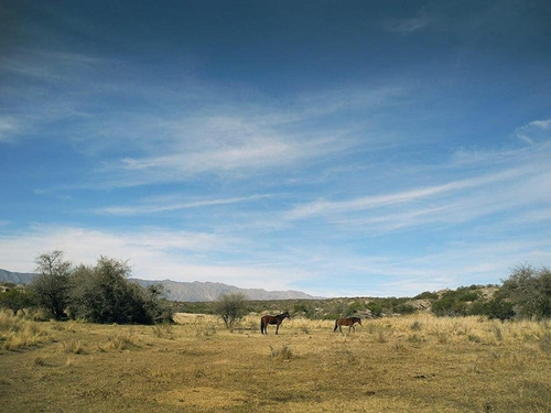 Imagen 14 de 25 de Excelente Campo Nativo De 103ha La Venta En Ojo De Agua!
