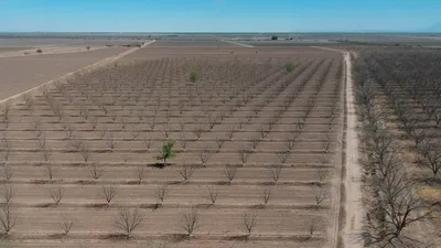 Rancho en venta