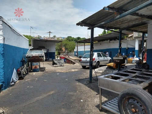 Imagem 3 de 3 de Terreno Para Venda - 1763