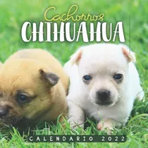 Comprar Cachorros Chihuahua Calendario 2022: Calendario 12 Meses 202