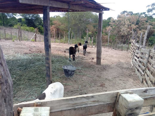 Chácara Top, Para Quem Busca Paz, E Lazer