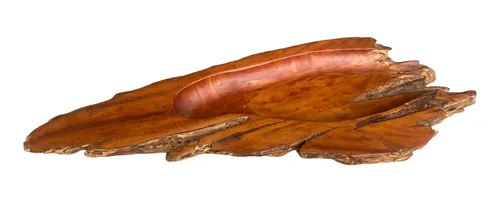 Bandeja Veta Indómita Nudo De Araucaria