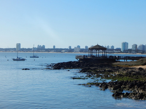 Imagen 13 de 15 de Funcional Y Acogedor Apartamento En La Península, 1 Dorm 3 Pers. A 150 Mts. Del Puerto De Punta Del Este, 2 Cuadras De Gorlero, 10 Min De La Terminal De Buses.