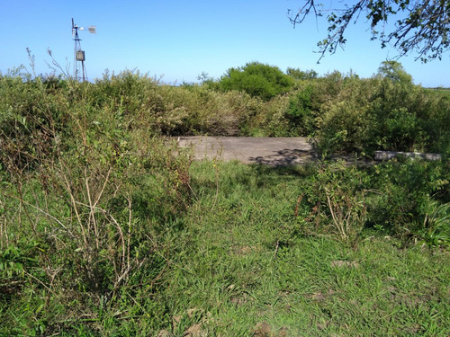 Imagen 11 de 20 de Campo Mixto 21 Has. En Victoria Actualmente Con Explotacion Ganadera
