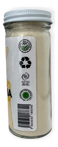 Goma Xantana Frasco 100g The Vegan Art Premium
