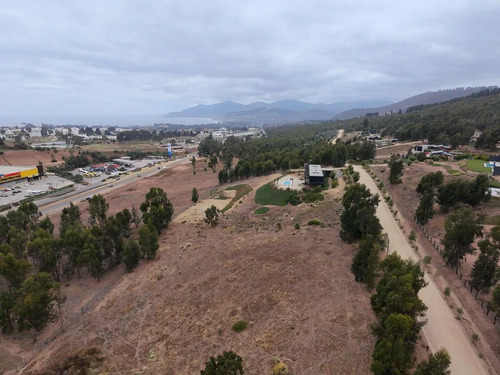 Parcela Soñada En Condominio Consolidado De Maitencillo
