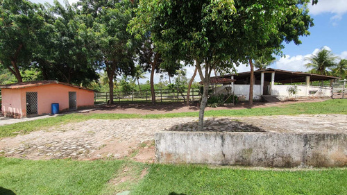 Granja Em Ceará-mirim/rn, Apenas 38km De Natal. Rio Perene