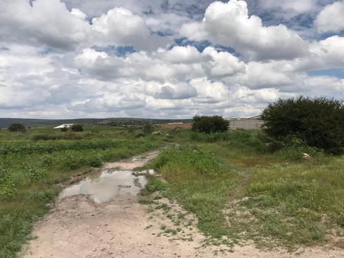 Imagen 4 de 8 de Terreno En Venta El Nayar