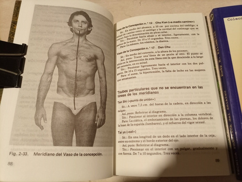 Libros. Dos Ejemplares Sobre Shiatsu (Usado)