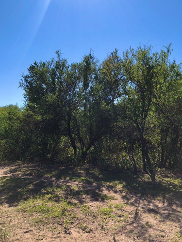 Imagen 17 de 24 de Lotes Con Escritura Desde 1556 M2 A 2365 M2 / Villa De Las Rosas - Traslasierra