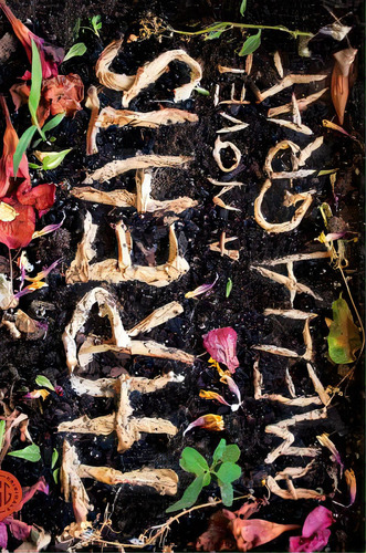 Threats, De Gray, Amelia. Editorial Farrar Strauss & Giroux, Tapa Blanda En Inglés