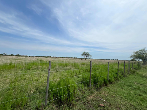 Terreno Lote De 600mt2 En Carmen De Areco