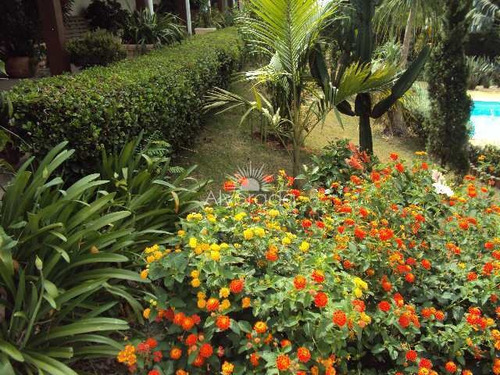 Chácara Com 3 Dorms, Recanto Da Paz, Itatiba - R$ 850 Mil, Cod: Ch076 - Vch076