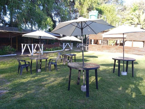 Arriendo Parcela Para Paseos Y Eventos