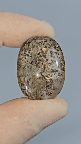 Pedra Dendrita Natural Cristal Quartzo Precioso Raro 43,48ct
