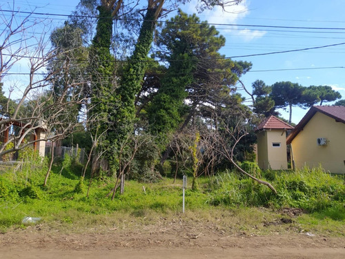 Imagen 5 de 6 de Cod 349 Lote Urquiza