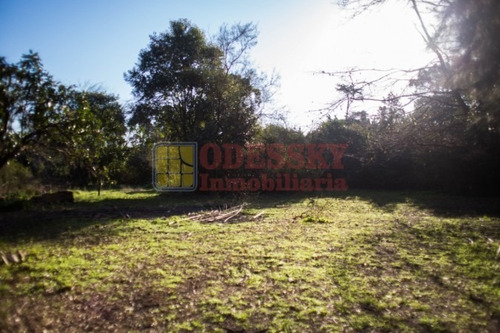 Imagen 5 de 6 de Santa Rosa , Cañuelas -lote Arbolado En Venta